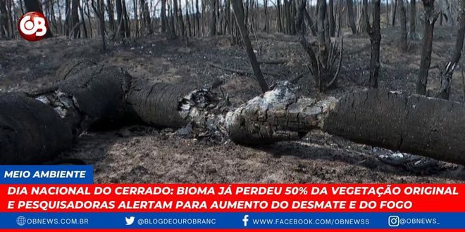 aumento do desmate e do fogo