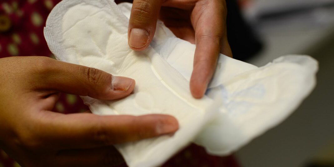 Governo de São Paulo veta projeto sobre Menstruação sem Tabu