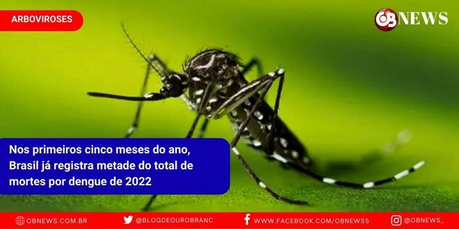 metade do total de mortes por dengue de 2022