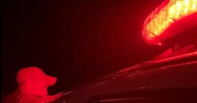 Mãe e padrasto são presos após deixar criança de 12 anos sozinha no quintal de casa por 2 dias na Grande Natal