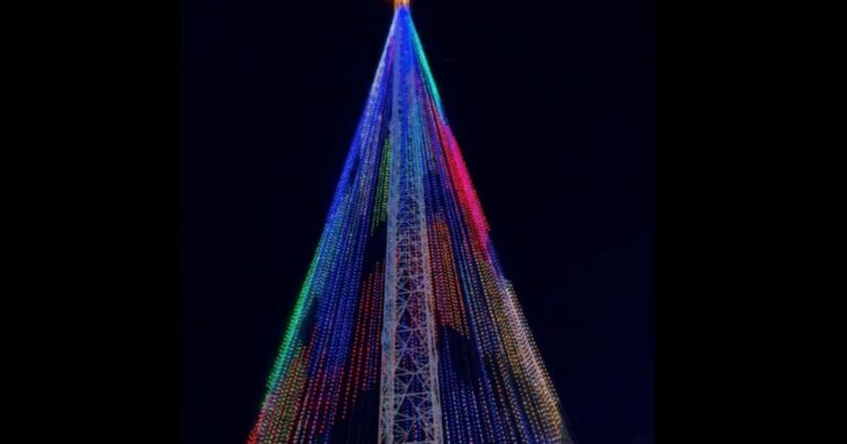 Árvore de Mirassol com iluminação inovadora é acessa em Natal. Veja