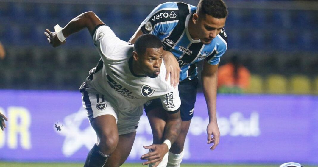 Botafogo derrota o Grêmio e assume liderança