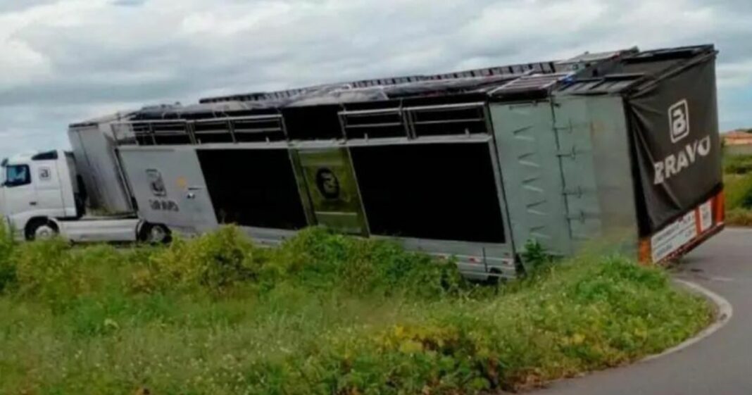 Trio elétrico de Bell Marques fica preso