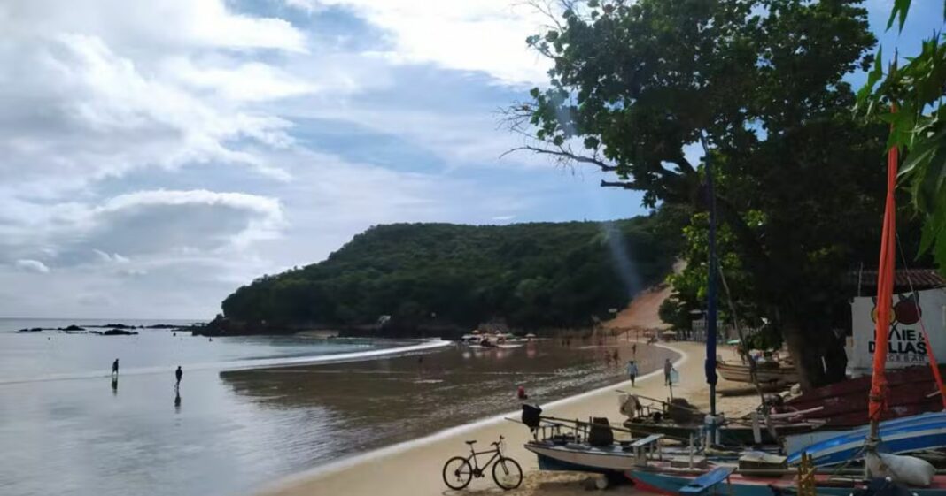 Federação de Pescadores do RN pede 'estudos mais aprofundados'