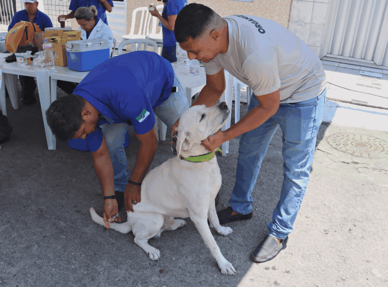 Abril Laranja: Natal tem ação com serviços gratuitos para pets neste sábado