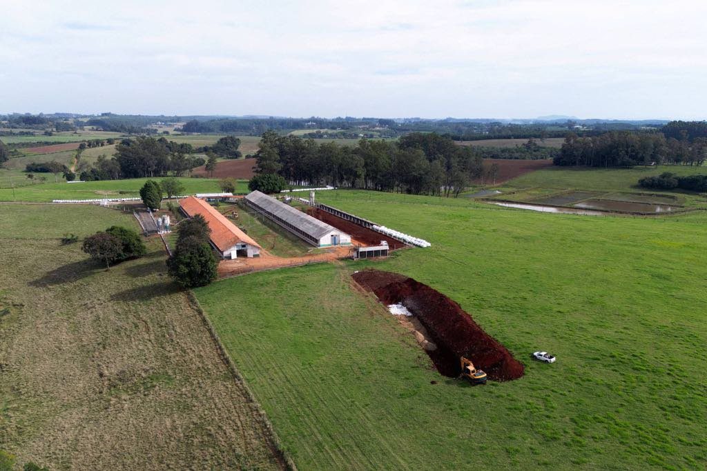 Brasil pede à China que limite embargo de frango a município com foco da gripe aviária