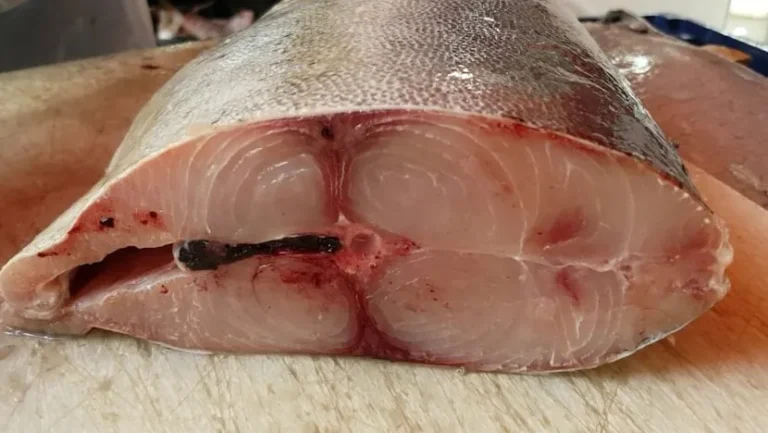 Chega a 13 o número de pessoas com suspeita de intoxicação por peixe em Natal