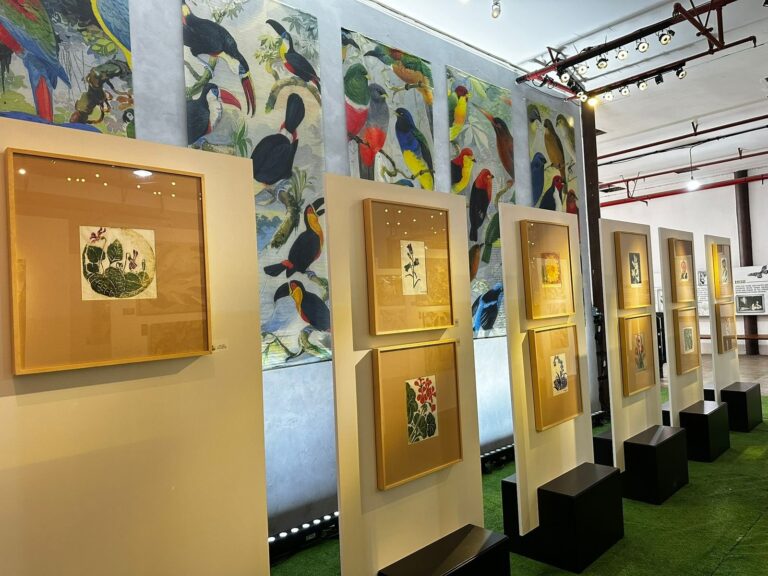 Exposição ‘O Legado Suíço-Brasileiro na Amazônia’ promove diálogo entre arte e ciência no Aeroporto de Natal