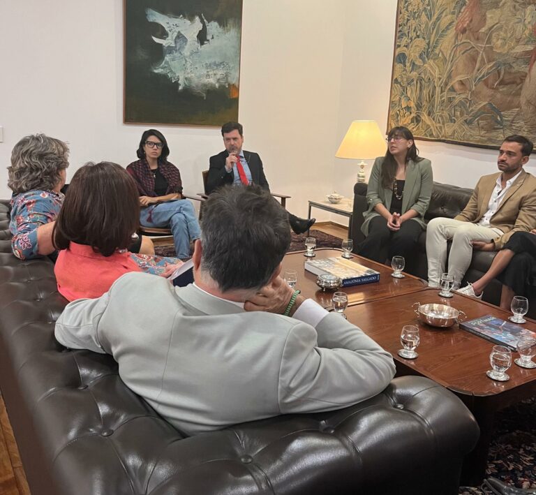 Natália Bonavides participa de reunião por liberdade de ativistas em Gaza