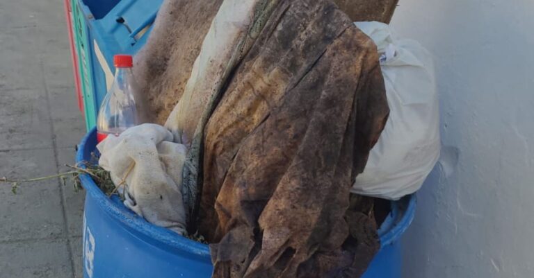 Vídeo: Moradores denunciam descarte irregular de restos de caixões no cemitério de Ouro Branco