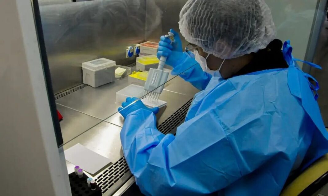 Senado aprova teste genético para mulheres de alto risco de câncer no SUS