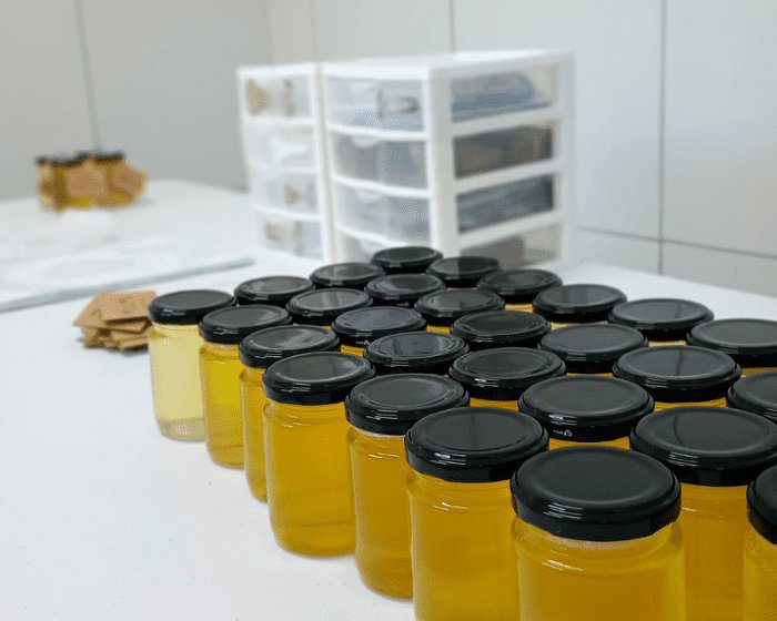 No momento, você está visualizando IFRN tem projeto de valorização do mel de Jandaíra selecionado em edital nacional do MEC