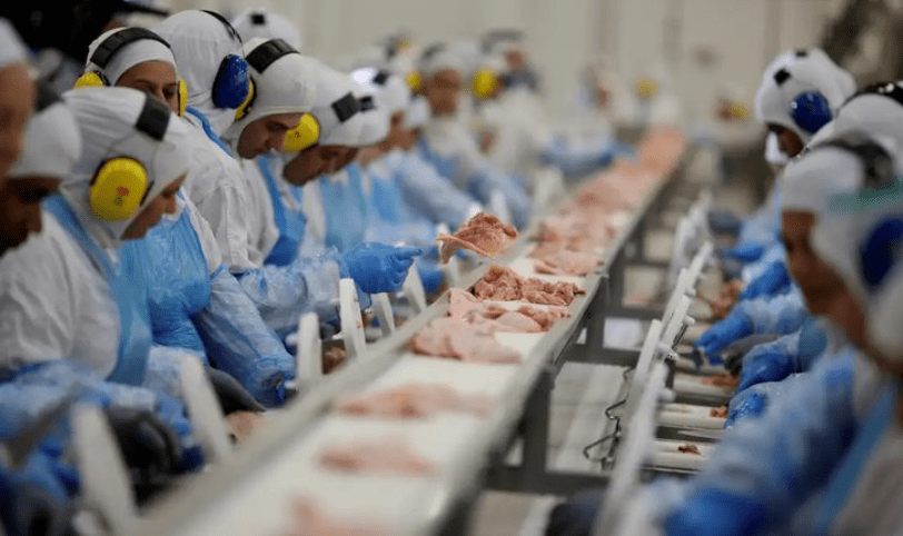 Sem gripe: China decide voltar a comprar carne de aves brasileiras