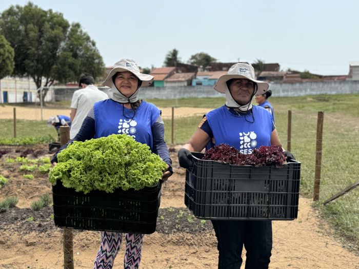 No momento, você está visualizando Sesc RN e Emater assinam convênio que amplia o desenvolvimento de hortas do Sesc Mesa Brasil