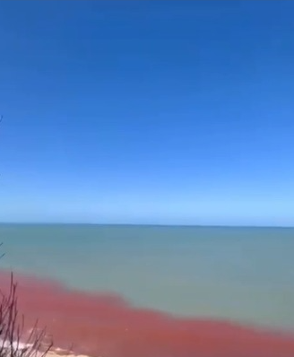 Trecho entre praias perto de Pipa apresentam tom avermelhado; Idema vai investigar o caso