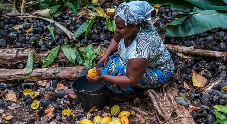 FMI conclui nova etapa de acordo de crédito com São Tomé e Príncipe