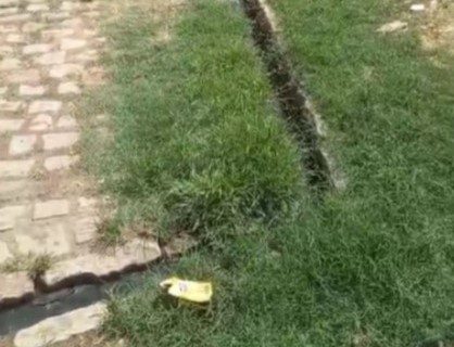 No momento, você está visualizando Ministério Público obtém decisão que obriga Município a combater poluição