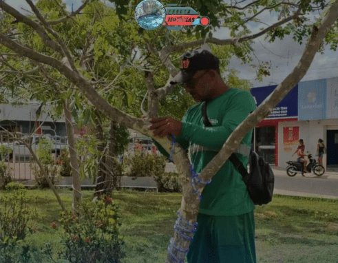 No momento, você está visualizando Prefeitura de Pureza investirá R$ 62 mil com decoração da natalina do “Pureza Luz” 