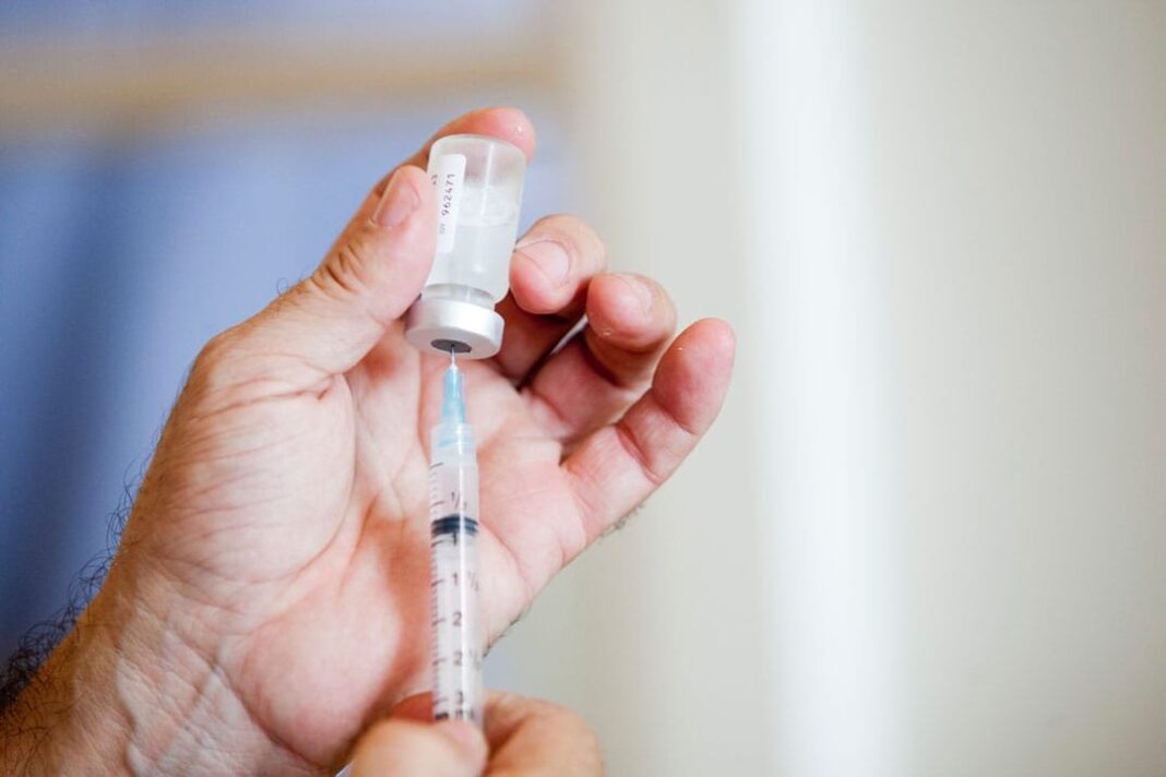 Vacina contra a dengue desenvolvida pelo Butantan terá sua aplicação iniciada em janeiro.