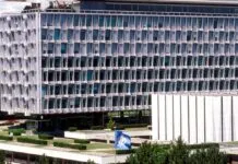 OMS aponta 2025 como ano de conquistas em período de intensos desafios OMS aponta 2025 como ano de conquistas em período de intensos desafios